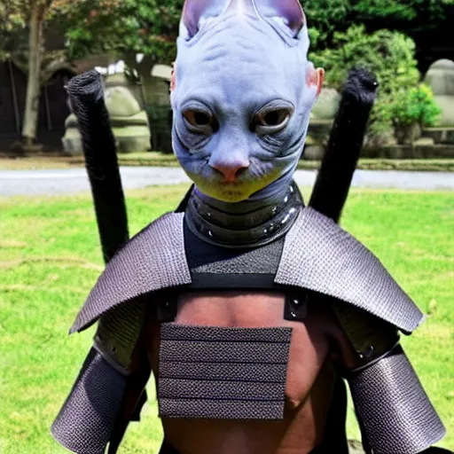 Image similar to samurai armor worn by hairless sphynx cat