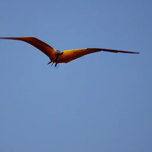 Prompt: the back of a bird flying, a plane arriving toward