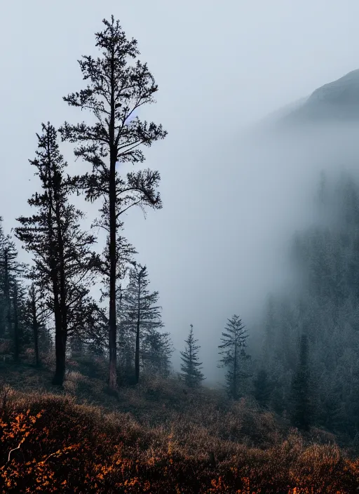 Prompt: beautiful mountain photography fog and trees award winning