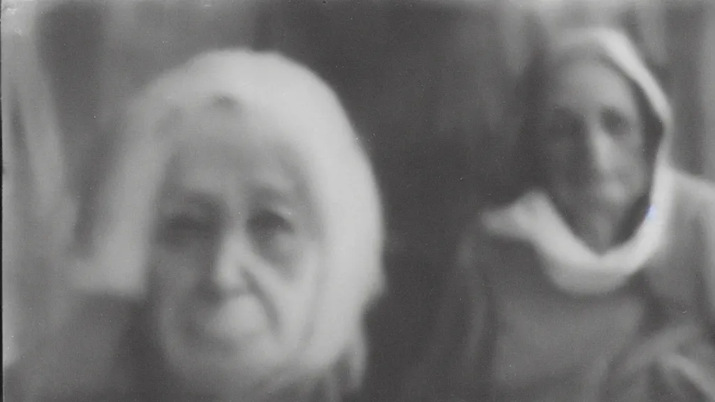 Image similar to holga photo sample of an old woman