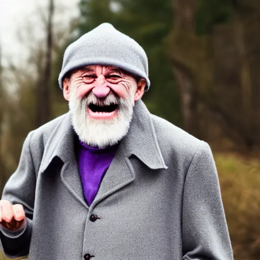 Image similar to an old bald mad wizard with bushy grey eyebrows, long grey hair and wearing a grey wizard hat, disheveled, wise old man, wearing a purple detailed coat, a bushy grey beard, sorcerer, he is yelling and laughing