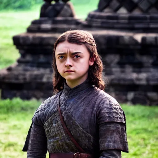 Image similar to elegant young arya stark, photograph 3 5 mm, shot from game of thrones, at borobudur, artstation