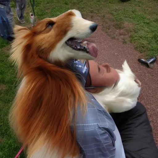 Prompt: a giant Sheltie is looking down at it's ant sized human owner