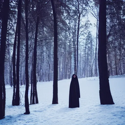 Prompt: lady dressed in a long black robe standing in the shadows of a snowy forest at night