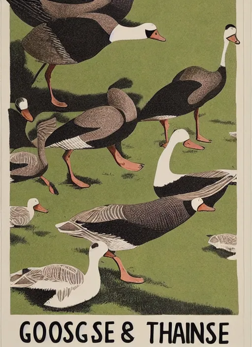 Image similar to goose warning poster. beware the geese, diagram, no text