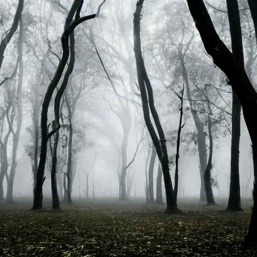 Prompt: A photograph of a strange forest with trees made of feathers, in fog