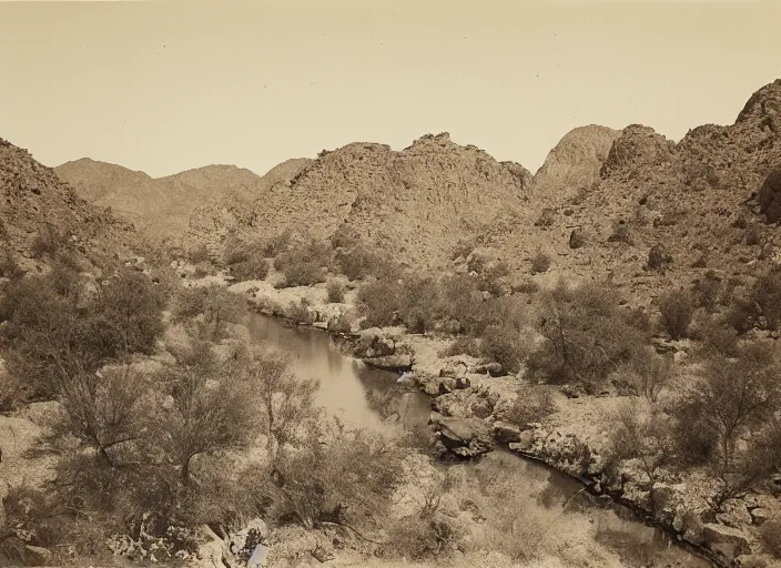 Image similar to View of the Gila river, surrounded by lush desert vegetation and rocky slopes, albumen silver print, Smithsonian American Art Museum