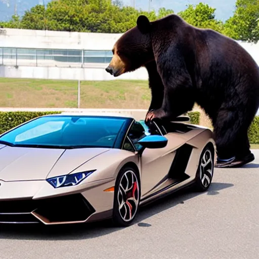 Image similar to bear dancing on the roof of Lamborghini car