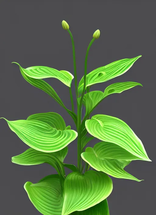 Image similar to an isolated hosta lily plant in full view and centered with cinematic rim lighting, art nouveau style, strong contrast, ultra realistic, sketchfab, pixelsquid, unreal engine, zbrush, vray, 8 k, volumetric, no blur, artstation, octane render, ultra detailed, hyperrealistic, by artgerm and james gurney and alphonse mucha