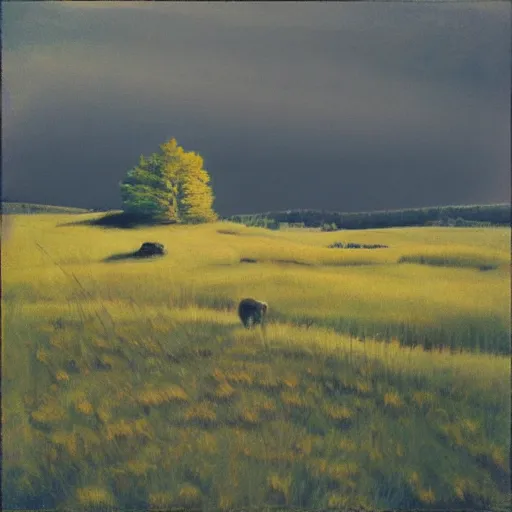 Prompt: “a soft prairie landscape during august, late afternoon, in the style of Andrew Wyeth”