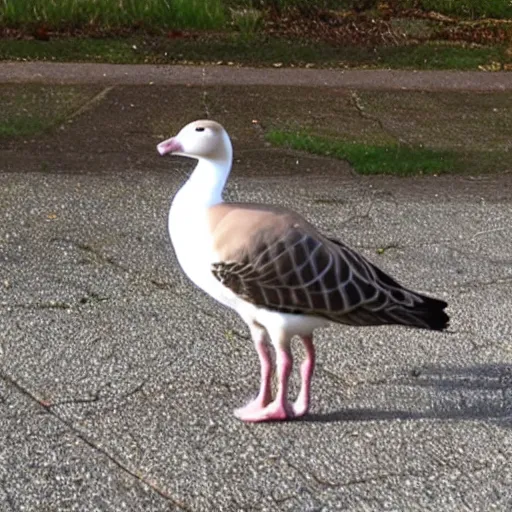 Image similar to photo of a cross between a cat and a goose