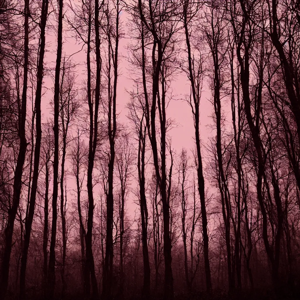 Image similar to Eerie forest at night, shadows, red moon in background