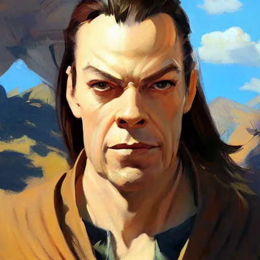 Image similar to greg manchess portrait painting of elrond as overwatch character, medium shot, asymmetrical, profile picture, organic painting, sunny day, matte painting, bold shapes, hard edges, street art, trending on artstation, by huang guangjian and gil elvgren and sachin teng