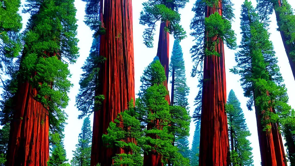 Image similar to Futuristic City in Harmony with Nature(Redwood Trees) by bruce mccall and Klaus Bürgle; Location: San Francisco, California;