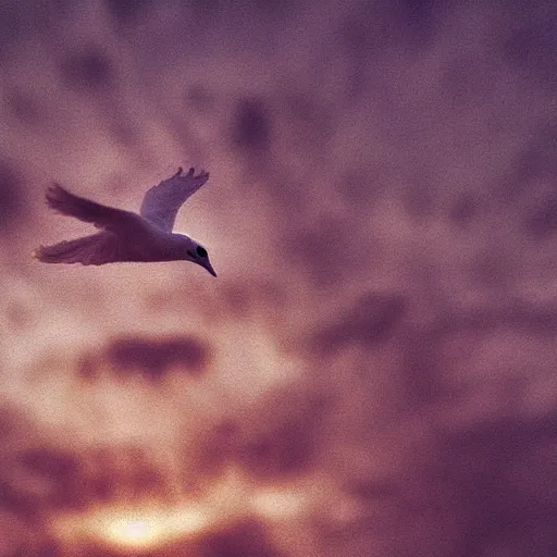 Image similar to close - up realistic shot radiant white dove flying over clouds sunset ethereal vintage photograph film grain surreal awe - inspiring