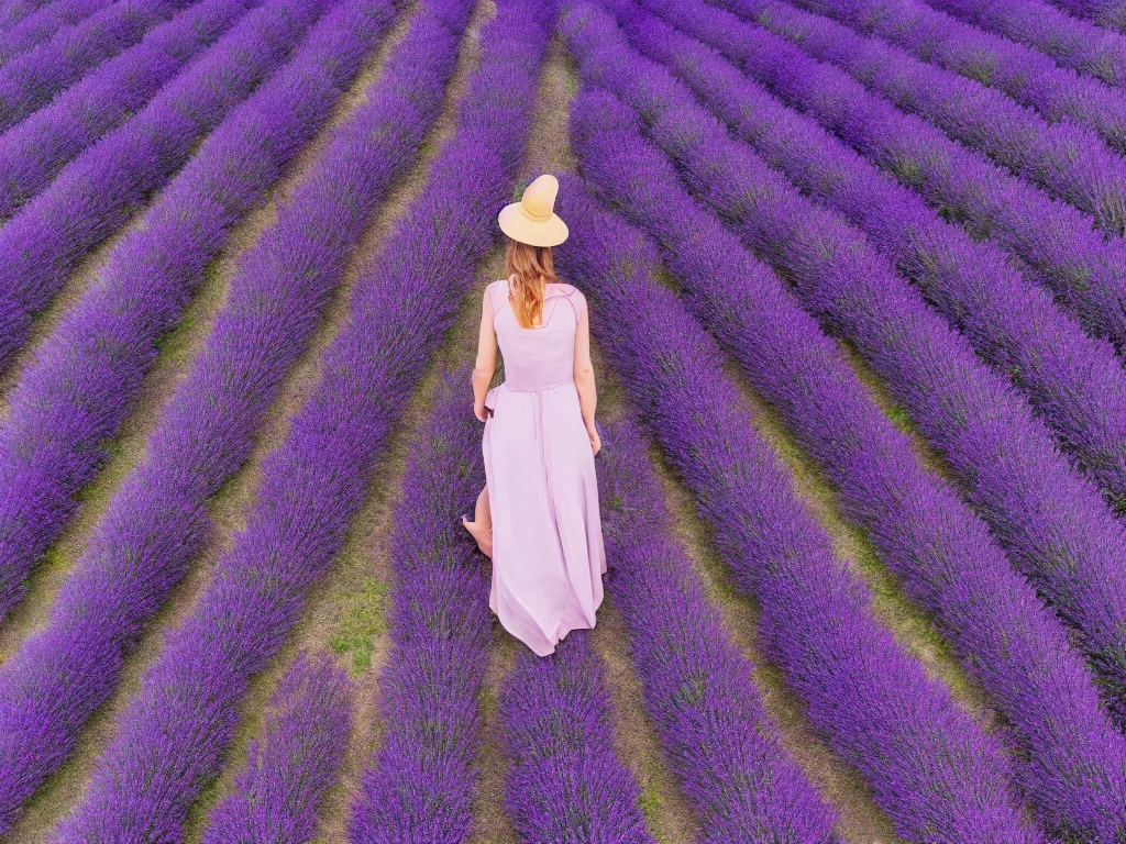 Prompt: dreamy aerial view of a girl with hat in middle of the beautiful lavender field, highly detailed, symmetric, drone photography, landscape photography, photorealism, smooth 4k