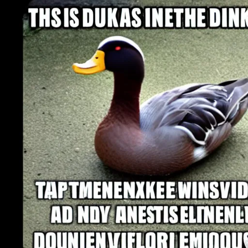 Image similar to This is Fine. Meme with a Duck instead