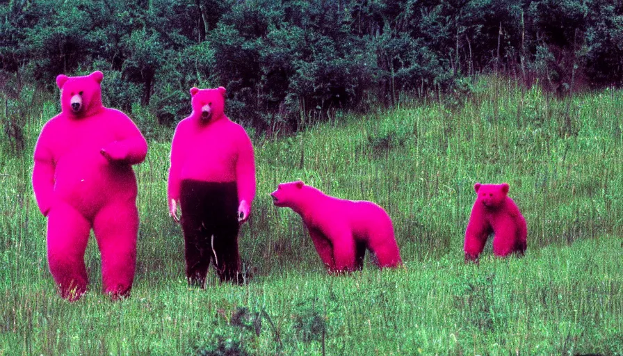 Prompt: people in pink bear suits being hunted by actual bears on a green meadow, movie still, by david lynch, by fellini, by terry gilliam, cinemascope