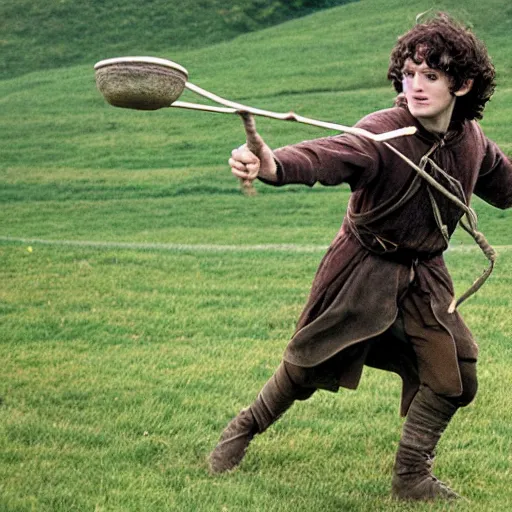 Image similar to frodo baggins playing quidditch
