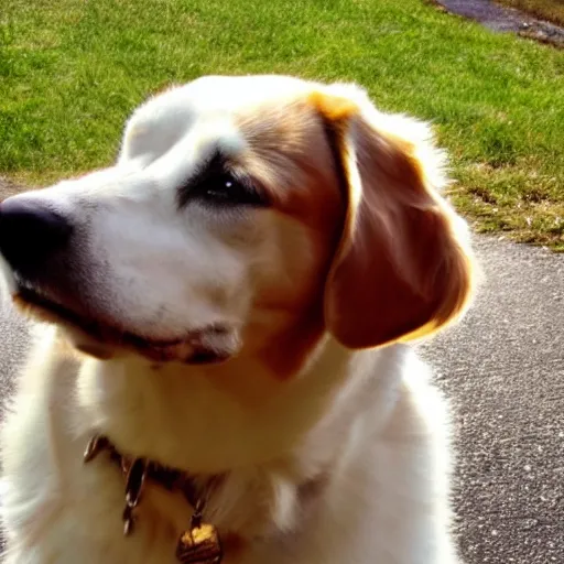 Prompt: thought bubble above a dog, dog thinking