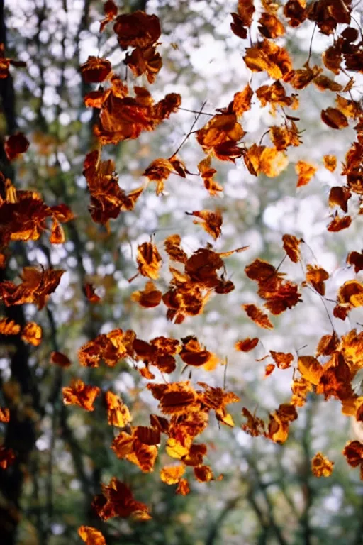 Prompt: beautiful 7 0 mm cinematic still photo of falling leaves, bokeh, cinematography by christopher doyle