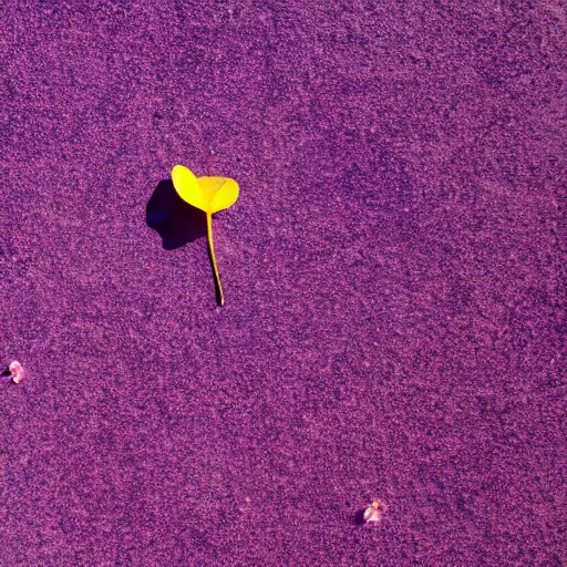 Prompt: closeup photo of 1 lone purple petal flying above a kids in park, aerial view, shallow depth of field, cinematic, 8 0 mm, f 1. 8 - c 1 1. 0