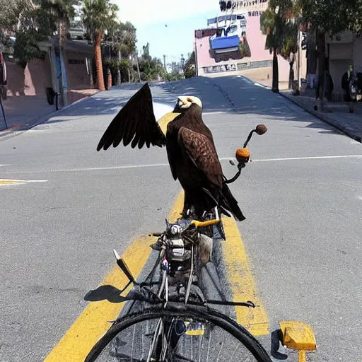 Image similar to an eagle riding a bicycle in the streets of la, smoking a cigar