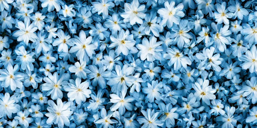 Image similar to minimalistic wallpaper of light blue flowers and white flowers, matte painting