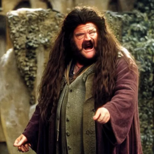 Image similar to Robin Williams playing Hagrid in Harry Potter, screenshot