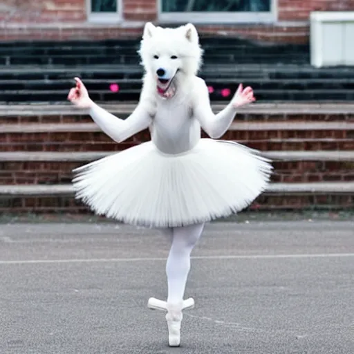 Image similar to a samoyed ballet dancer in a tutu