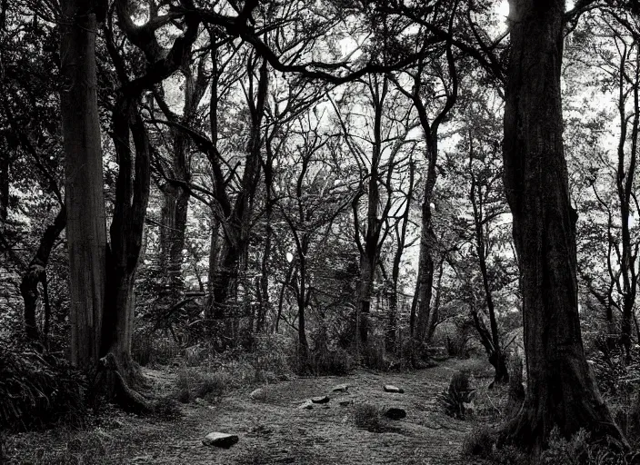 Image similar to forest path, ancient trees, shrew - silhouettes, shadowed, overgrown, hiding - treasure - hiding, serene evening atmosphere, color noir