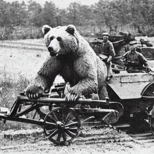 Image similar to a picture of a enormous bear pulling a towed cannon behind his back like a chariot, eastern front, historical picture