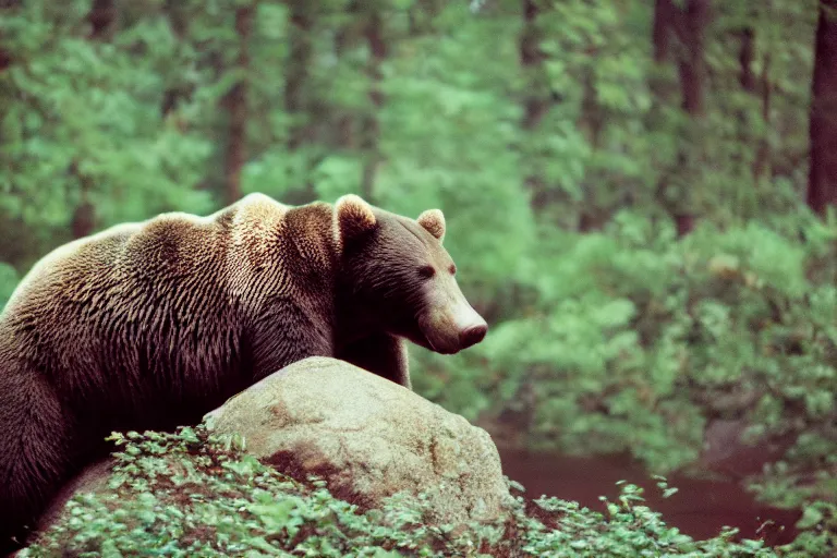 Image similar to a photo of a snail grizzly bear in its natural habitat, kodak ektachrome e 1 0 0 photography