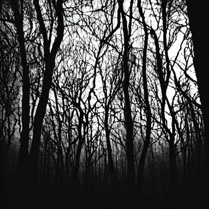 Prompt: a creepy and slender shadowy figure with long limbs in the dark woods at night, 35 mm, film shot