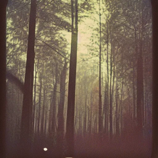 Image similar to a sleek round aircraft with glowing lights flying over a forest at night, old polaroid, expired film,