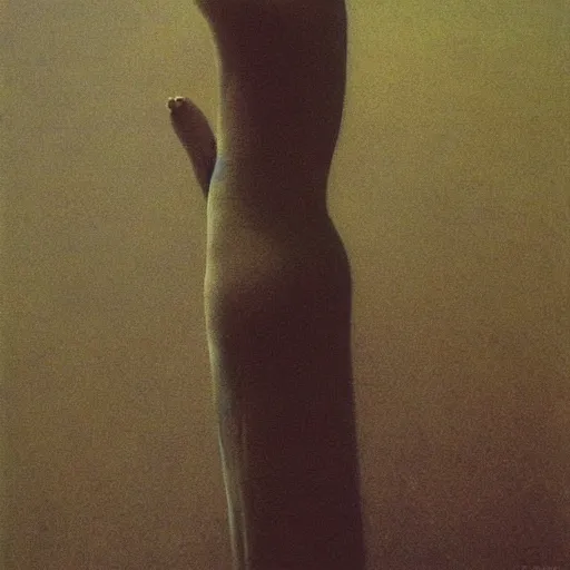 Image similar to a woman in a dress posing, feeling of surrender, by Zdzislaw Beksinski and Marat Safin