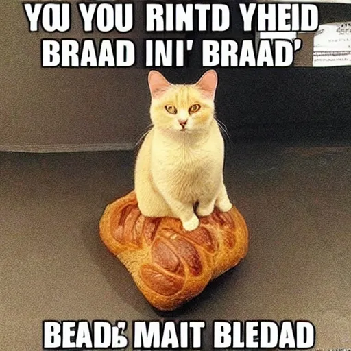 Image similar to you thought it was bread but no it was me the cat