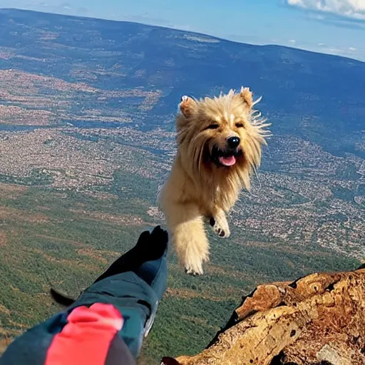 Image similar to a hairy dog jumping from a cliff with a parachute