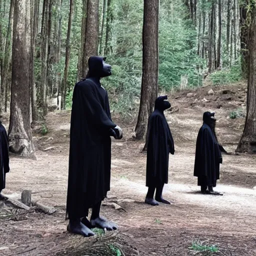 Image similar to black robed group of occultist worshipping a bigfoot statue