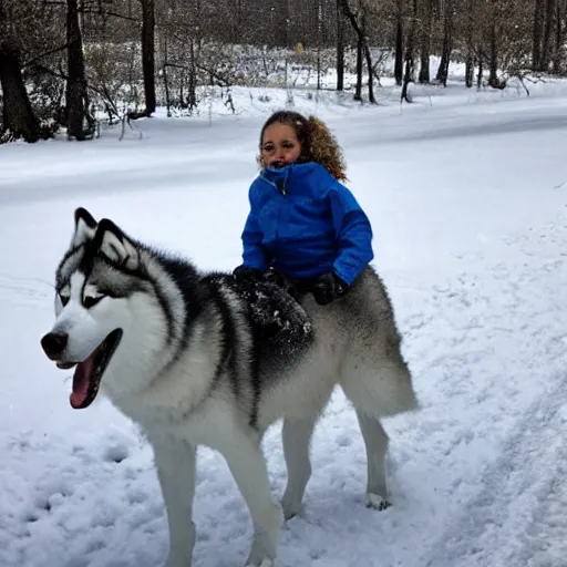 Image similar to girl riding a giant husky in the snow