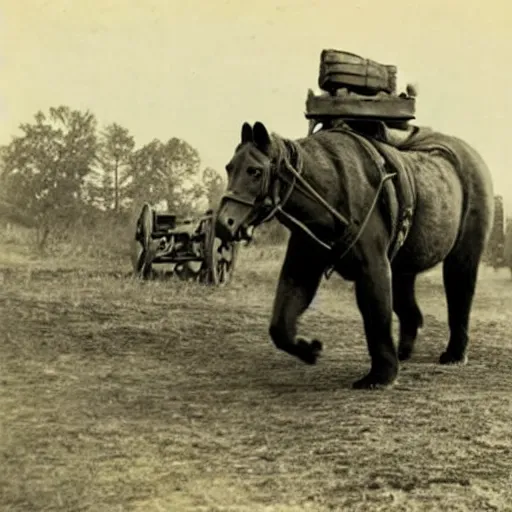 Image similar to a picture of a enormous bear pulling a towed artillery piece behind him like a horse, eastern front, historical picture