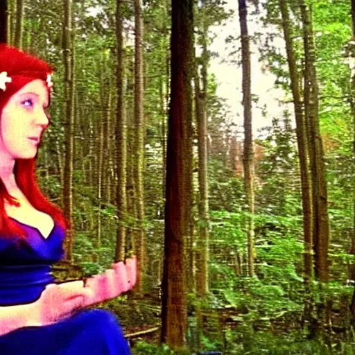 Image similar to 2 4 0 p footage, 2 0 0 6 youtube video, low quality photo, elf maiden telling stories in a forest