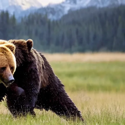 Prompt: realistic photo of a human - size black spider fighting a grizzly bear in a meadow