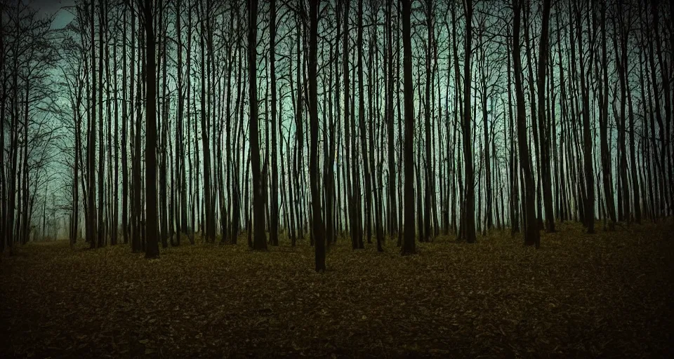 Image similar to photo taken in the middle of a spooky forest at night