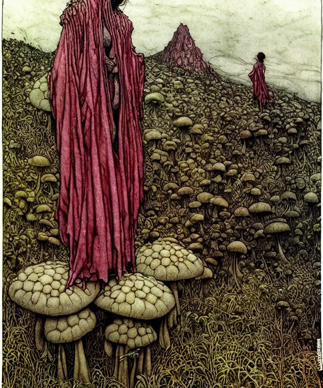 Image similar to A detailed funguswoman stands among the mushroom hills. Wearing a ripped mantle, robe. Perfect faces, extremely high details, realistic, fantasy art, solo, masterpiece, art by Arthur Rackham, Zdzisław Beksiński