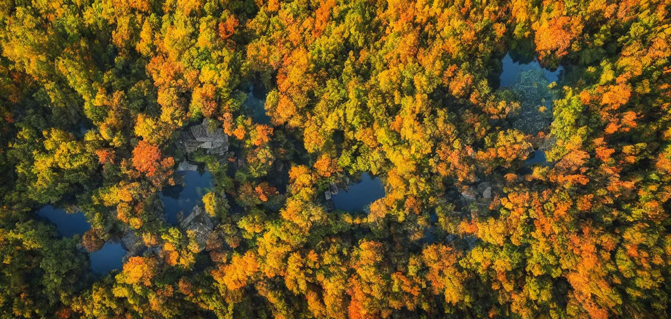 Image similar to stone cottages underneath a dense tall forest, pristine ponds. bodyscapes. fine painting intricate brush strokes, bright depth oil colors. 2 8 mm perspective photography by araken alcantara. intense promiseful happiness, autumn sunrise warm hdri forest light