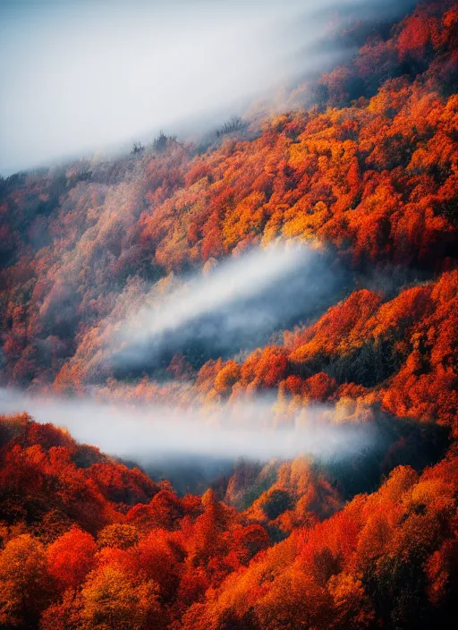 Image similar to an award winning photo of a cool autumn day in bergen norway, colorful leaves red orange yellow on trees, leaves falling to the ground, beautiful mountains, breathtaking blue sky, wispy cloud. travel photography by charlie waite, max rive, caroline foster.