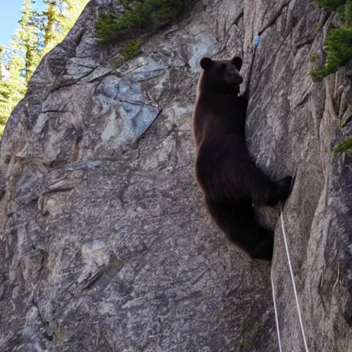 Prompt: photo of a bear rock climbing