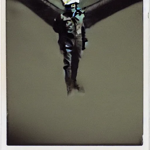 Image similar to real Polaroid photo of Mothman