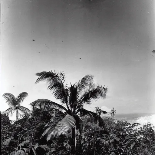 Prompt: a rizom lost film footage of a trabal sphere in the middle of the tropical jungle / object / abstract / modernism / film still / cinematic / enhanced / 1 9 2 0 s / black and white / grain